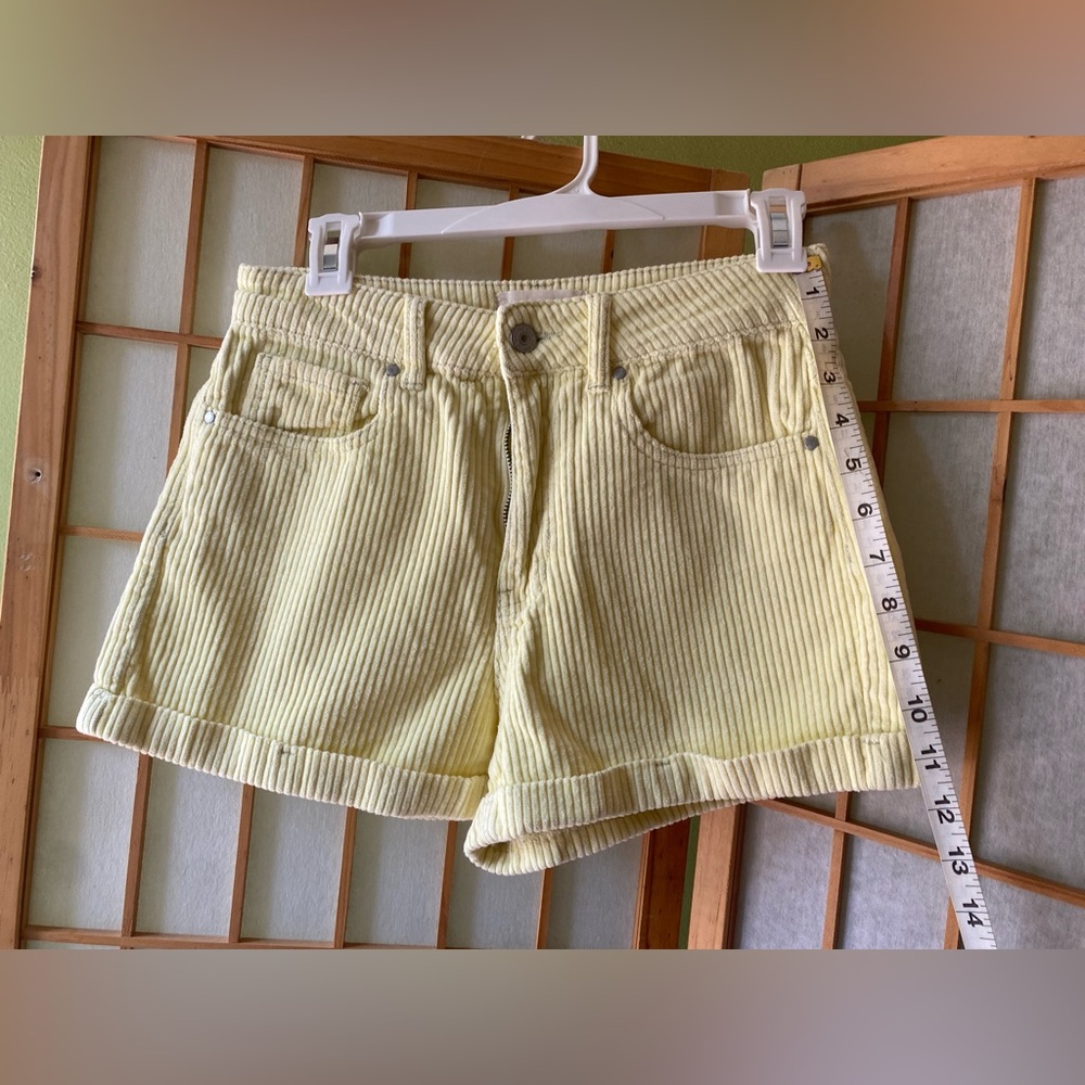 Pacsun Woman's. Mom Shorts